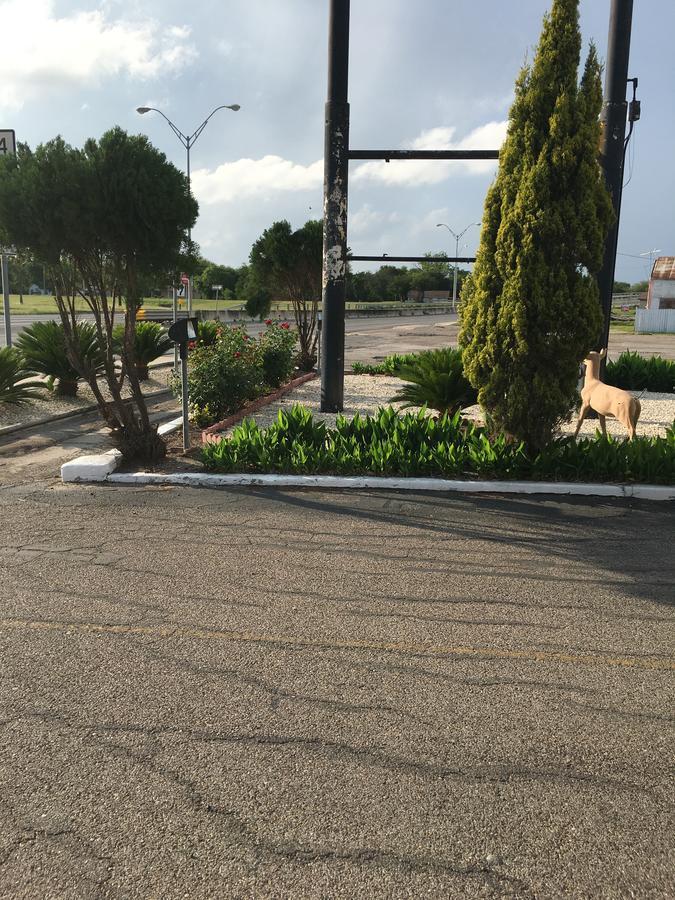 Alice Motor Inn Εξωτερικό φωτογραφία